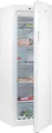 Hisense Gefrierschrank FV245N4AW2, 169,1 cm hoch, 55 cm breit