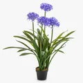 artplants Kunstpflanze Agapanthus LESEDA im Dekotopf, blau, 105cm