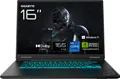 Gigabyte GAMING A16 CWHI3DEC94SH Intel Core i7-13620H - Core i7 - 1.000 GB