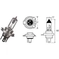 Lampe OSRAM 12V 35/35W HS1 für Kymco 125 2012-2013