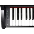 Roland GP-3 (423621)