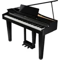 Roland GP-3  E-Flügel