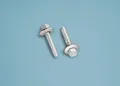 Terrasse2000 Doppelstegplatte 32 x 6,3mm Edelstahlschrauben 20 Stück je Packung, Silber