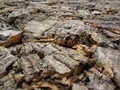 XL Korkrückwand (Rückwand Terrarium), 3D Kork-Rückwand Naturkork 90x60 cm Forest