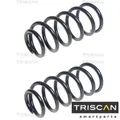 2x Fahrwerksfeder TRISCAN 875011272 2 Federn Satz Federnsatz für Mini