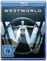 Westworld - Die komplette 1. Staffel [Blu-ray] | DVD | Zustand sehr gut