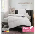 SPESSARTTRAUM Daunenbettdecke Exklusiv, Bettdecken für Sommer und Winter, Decke, Füllung: 100% Daunen, Klasse 1, Downpass zertifiziert, Bezug: 100% Baumwolle, Made in Green, Hausstauballergiker geeignet, 5 Wärmeklassen & 8 Größen, Bestseller