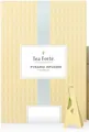 Tea Fortè Jasmine Green 40 Pyramiden IN Ovp Grüner Tee Im