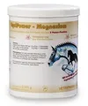 EquiPower Magnesium | 2 kg | Ergänzungsfuttermittel für Pferde | Mit Tryptophan & Vitamin B12