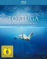TORTUGA - Die unglaubliche Reise der Meeresschildkröte [Steelbook]