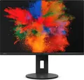 Fujitsu B-Line B2410 WS 24,1 Zoll Monitor IPS WUXGA 1920x1080 USB-C DP HDMI 5ms