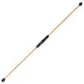 Sport-Thieme Schwingstab Fitness