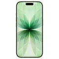 Apple iPhone 17 256GB Sage Handy Smartphone ohne Simlock MG6N4ZD/A