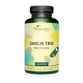Cholin Kapseln | Einzigartig: 3 Formen | Bitartrat, Citicolin & Phosphatidylcholin | Leber - Fettstoffwechsel* | Laborgeprüft | Ohne Zusätze | Von Vegavero®