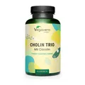 Vegavero Cholin Trio | 90 Kapseln | mit 3 verschiedenen Cholin-Formen | vegan
