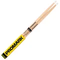 TX420N Mike Portnoy