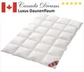 Neu Canada Dreams Luxus Ganzjahres Daunendecke Wärmegrad 3 240x220 cm CD3