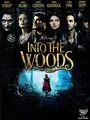Into The Woods [IT Import]