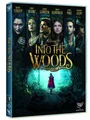 Into The Woods DVD Walt Disney