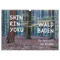 Shinrin yoku - Waldbaden 2025 (Wandkalender 2025 DIN A3 quer) CALVENDO Monatskalender von Irma van der Wiel www.kalender-atelier.de/ Calvendo / Calven