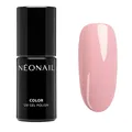 UV Nagellack 7,2 ml  ROSA  BORN TO BE MYSELF  Farben  UV Lack Glitzer  Gel Nä...