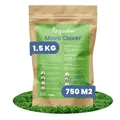 Microclover Lawn – Reiner Kleesamen (1500 g für 750 m2)
