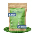 Mikroklee-Rasen - Klee - Kleesamen Für Rasen - Reiner Kleesamen - Weißklee - Micro-Kleegrassamen (1500 G - 750 M2) - Organifer