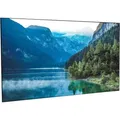 BlitzWolf Projection screen BW-VS3 100" (100") (BW-VS3 100)