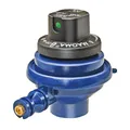 Magma Produkte, 10–264 Steuerventil Regulator, mittel Ausgang, Typ 1, Ersatzteil