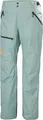 HELLY HANSEN SOGN CARGO Hose 2025 cactus - XL