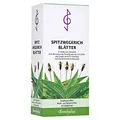 Spitzwegerichblätter Tee