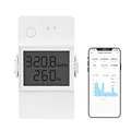 SONOFF LCD Digitaler Stromzähler, Smart Wlan Energiezähler 1 Phase 16A/4000W, DIN-Schienen-Wechselstromzähler mit Stromverbrauchsmessung und Überlastschutzfunktion, Kompatibel mit Alexa/Google Home