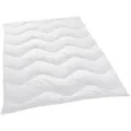 Sleeptex Ganzjahresdecke Levante, Weiß, Textil, Füllung: Polyester, 200x200 cm, Oeko-Tex® Standard 100, pflegeleicht, atmungsaktiv, hygienisch, Übergröße, Schlaftextilien, Bettdecken, 4 Jahreszeiten Bettdecken
