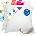wometo 2er Set Federkissen 100% Federn 40x40-300g Oeko-TEX Sofakissen Füllkissen Bezug Baumwolle weiß/Innenkissen/Kissenfüllung/kleine Kopfkissen (2 Stück)