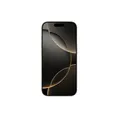 Apple iPhone 16 Pro Max 256GB Titan natur Neu & OVP Rechnung ausgw. MwSt