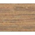 Egger Design-Wandpaneele DecoWall Namur Fichte Natur 125 cm x 66 cm