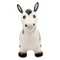 Kleiner Fuß - Skippydier Zebra