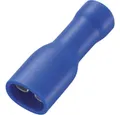 TRU COMPONENTS Flachsteckhülsen TRU COMPONENTS 737792 Flachsteckhülse Steckbreite: 4.8 mm Steckdicke:, FDFD2-187(5)