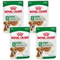 48x85 g Royal Canin MINI AGEING Stückchen in Soße kleine ältere und Senior Hunde