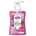 SAGROTAN Flüssigseife Wildbeeren 3051943 , 250 ml - Spenderflasche