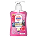 Sagrotan Handseife Wildbeeren Duft 250ml Handseife mit Duft DE