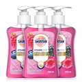 Sagrotan Handseife Brombeere Waldfrüchte Flüssigseife Spender 3x250ml