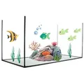 GarPet Aquarium Aquarium Becken rechteckig standard Größen Glas Aquariumbecken 60 cm x 30 cm x 30 cm