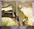 ABAKUHAUS Exotisch Rustikaler Gardine, Leopard-Wilde Katze auf Baum, Schlafzimmer Kräuselband Vorhang mit Schlaufen und Haken, 280 x 225 cm, Grün und Braun