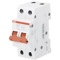 ABB SHD202/63 Lasttrennschalter 2P, 63A 2CDD272111R0063 (2CDD272111R0063)