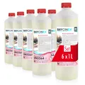 Baycinex Grundreiniger für Pools 6 x 1l