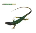 Las Salinas 2005 (mixed) Nitin Sawhney, Ella Fitzgerald, Stephane De Lu.. [2 CD]