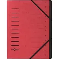 Pagna Ordnungsmappe 12-teilig (A4, 1x) (40059-01)