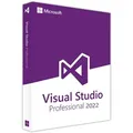 Microsoft Visual Studio 2022 Professional