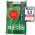 Premium Schattenrasen Rasensamen schnellkeimend  1 kg = 30m² | dürreresistent,